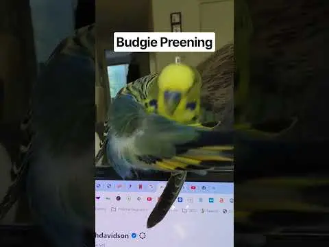 Youtube post thumbnail