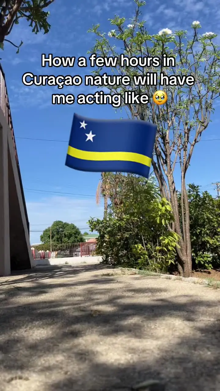 Tiktok post preview 3 from @afromycaribbean
