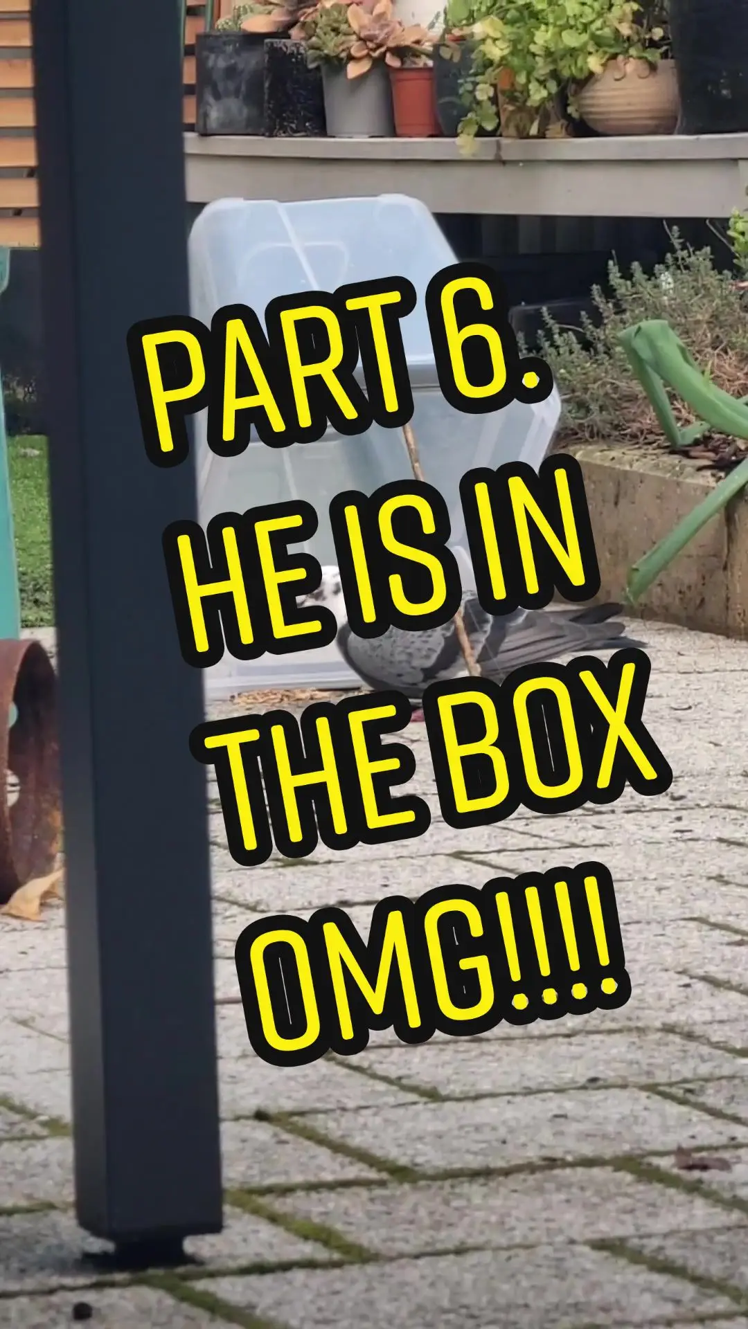 Tiktok post preview 3 from @blakeproud