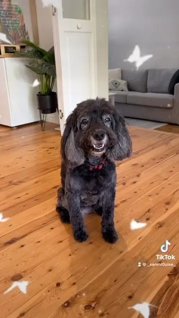 Instagram post thumbnail