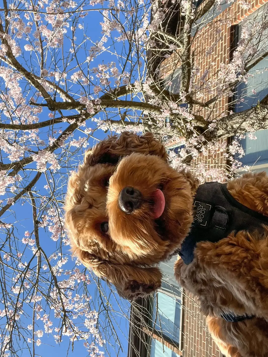 Instagram post thumbnail