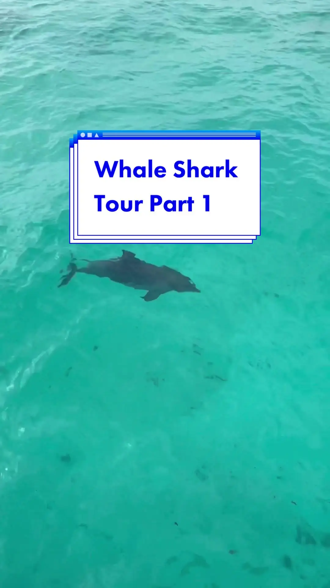 Tiktok post preview 3 from @kimmconn