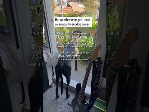 Youtube post thumbnail