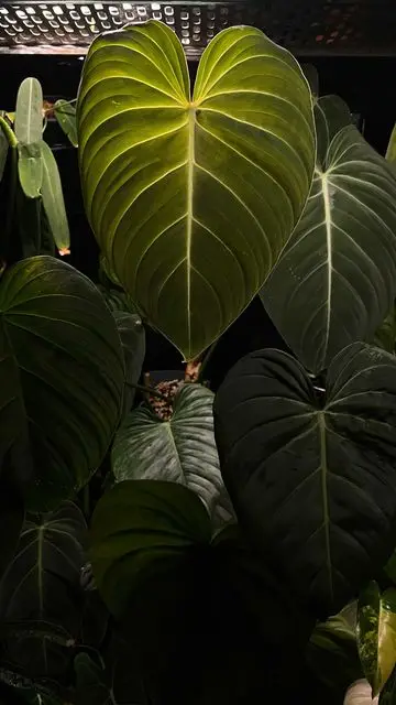 Instagram post thumbnail