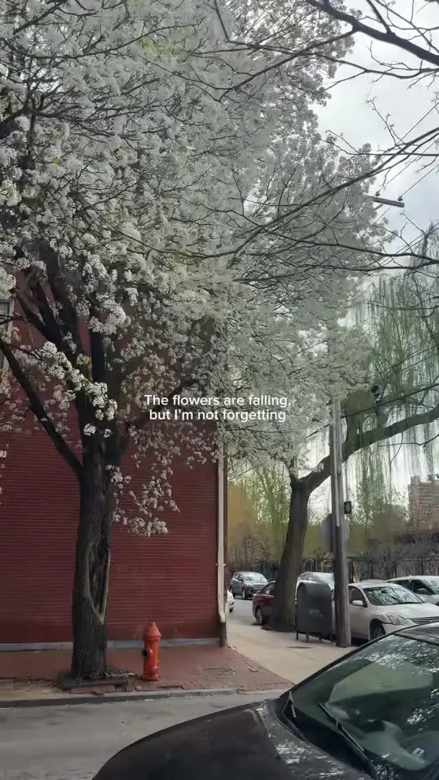 Instagram post preview 3 from hannahrobinsonnnn