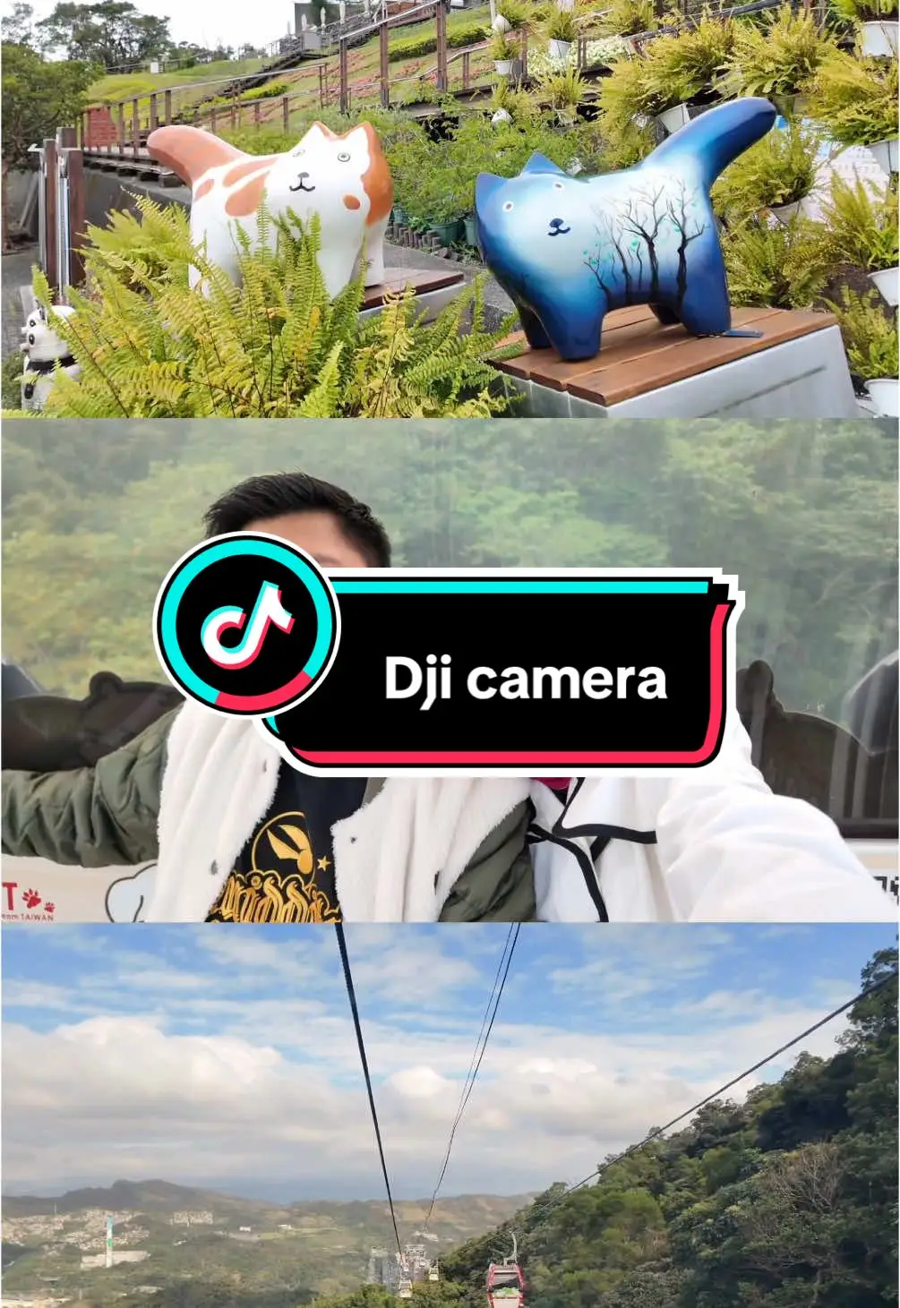 Tiktok post thumbnail