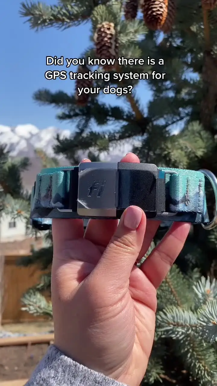 Tiktok post preview 3 from @wildsidedoggear