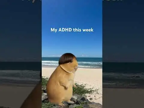 Youtube post preview 2 from UCmC5hnse93MfVhz_o0Ld6hA