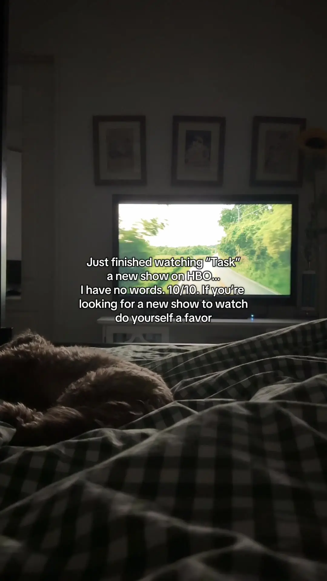 Tiktok post preview 3 from @bella.chamberlin