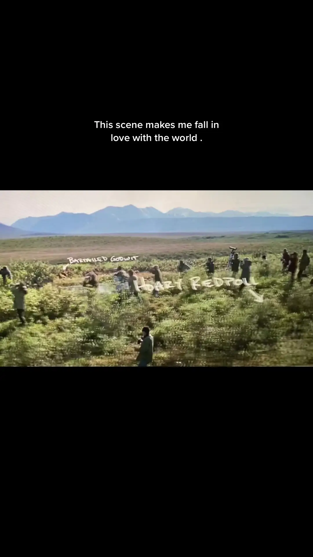 Tiktok post preview 3 from @wowitsindah