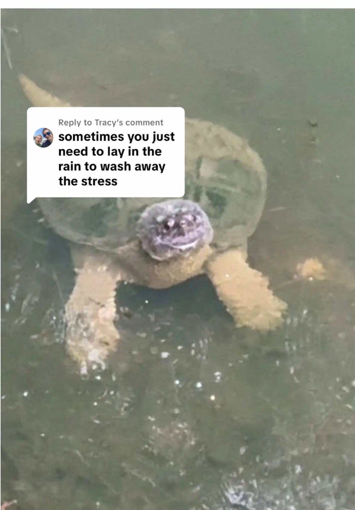 Tiktok post preview 2 from @jamieclairetullyy