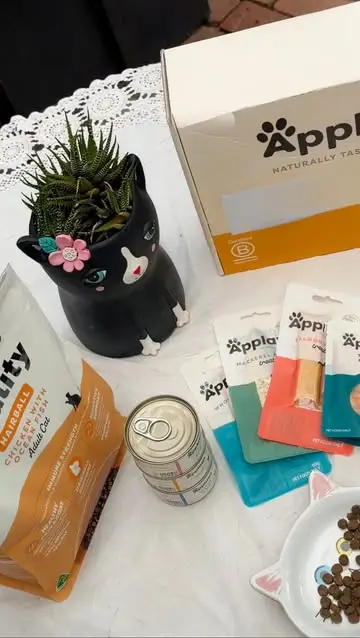 Instagram post preview 1 from rachelsugc