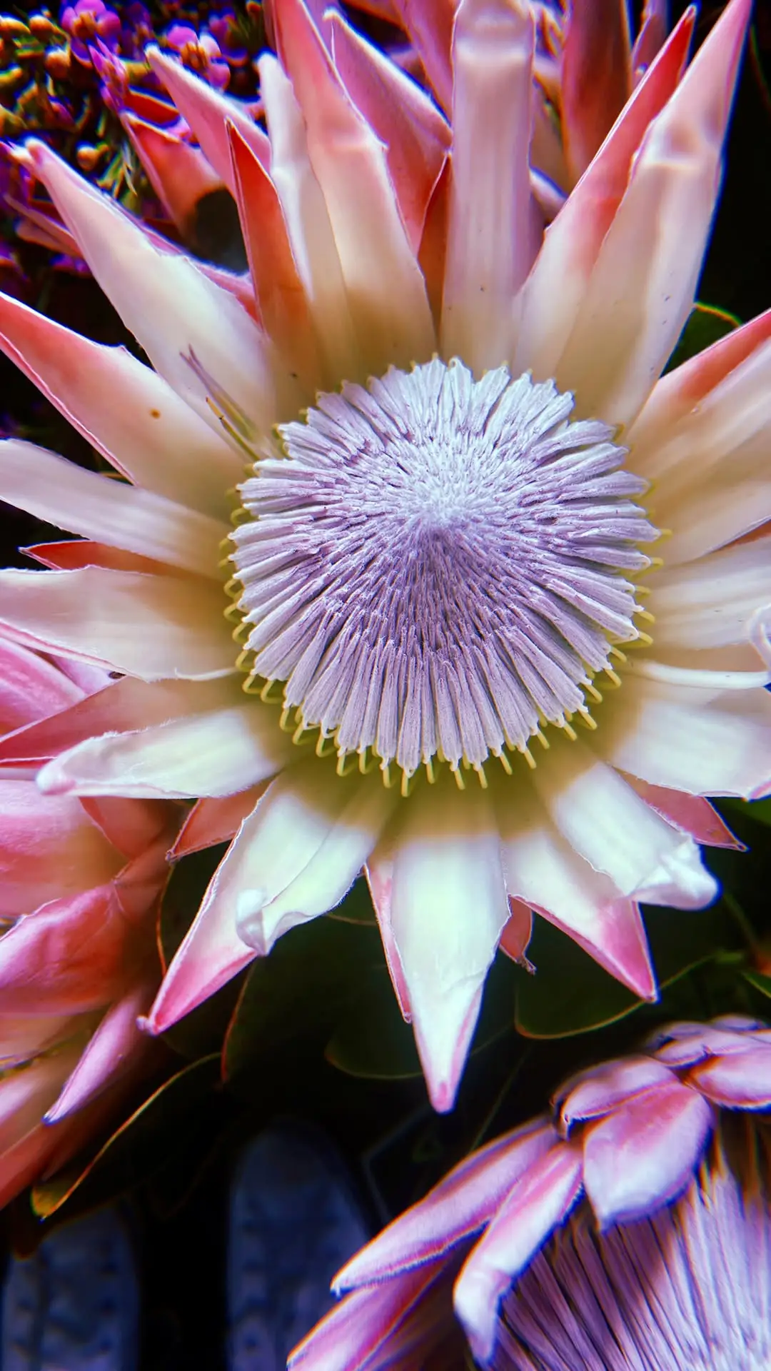 Instagram post thumbnail