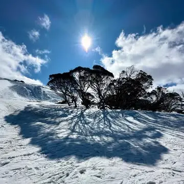 Instagram post thumbnail