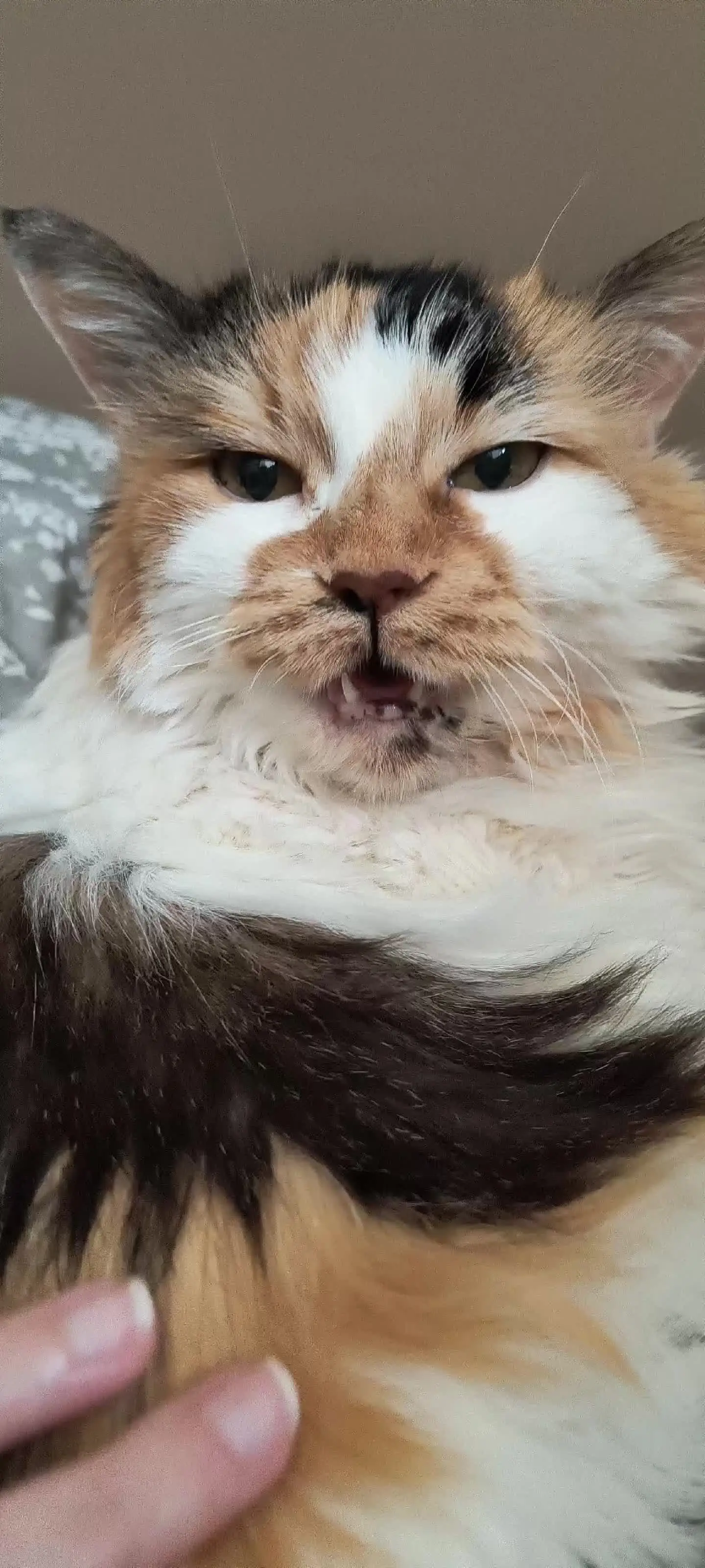 Tiktok post thumbnail