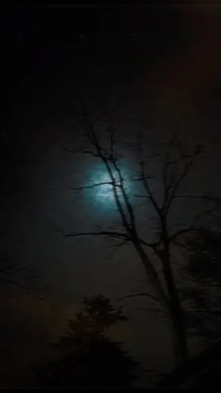 Instagram post thumbnail