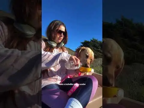 Youtube post preview 2 from UCmQr5uXuj1niKfDZWZqoIrg