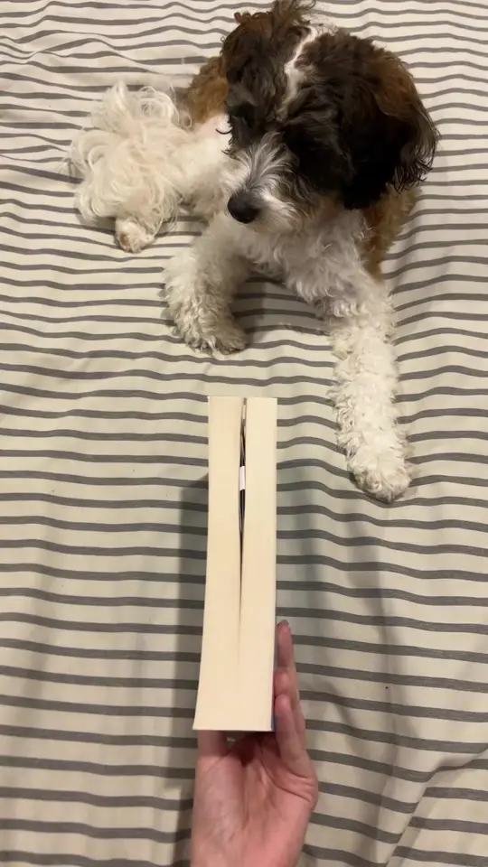 Tiktok post thumbnail