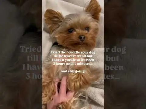 Youtube post preview 2 from UCtvYmwy7r1egBfZ1xlZPXVQ