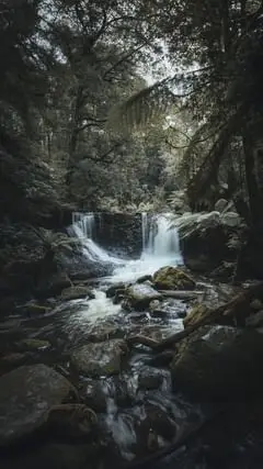 Instagram post preview 3 from chad_gerber