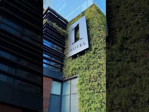 Youtube post preview 3 from UC13Qii0PEQwHevdO2_JNd2w