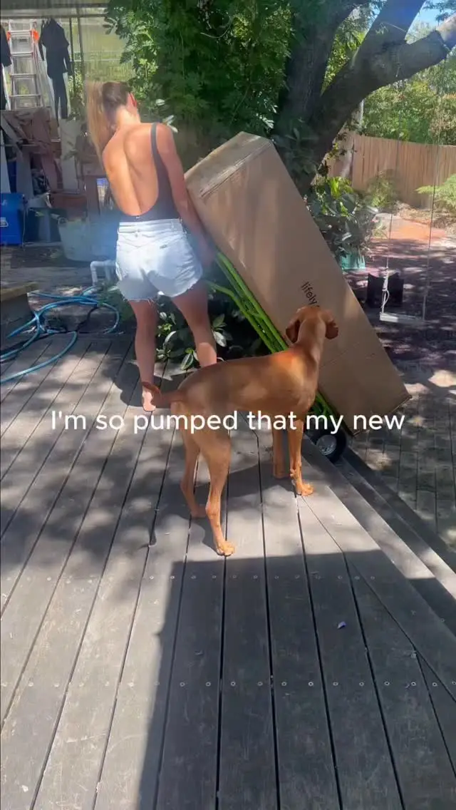 Instagram post thumbnail