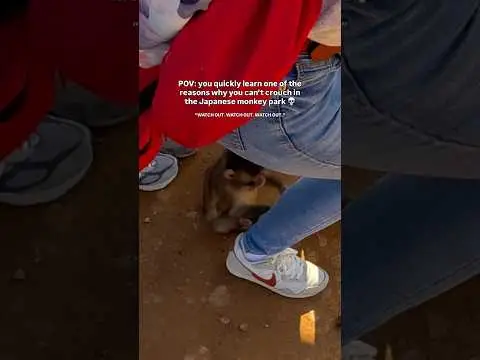 Youtube post preview 2 from UCdy1tnNrg0sG1Ypmmqtpy4Q