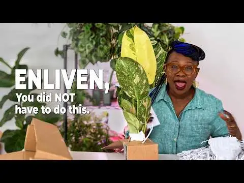 Youtube post preview 3 from UC0jssUmeE8cl1jwuW6K3wGA