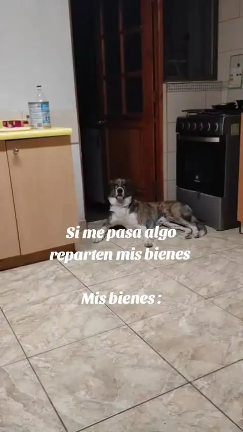 Tiktok post preview 2 from @majitochernandez