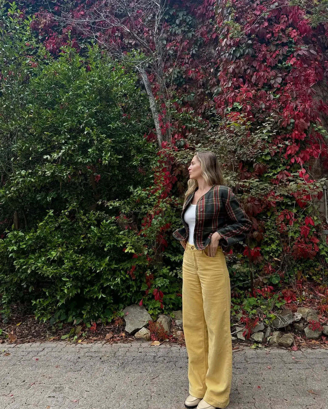 Instagram post thumbnail