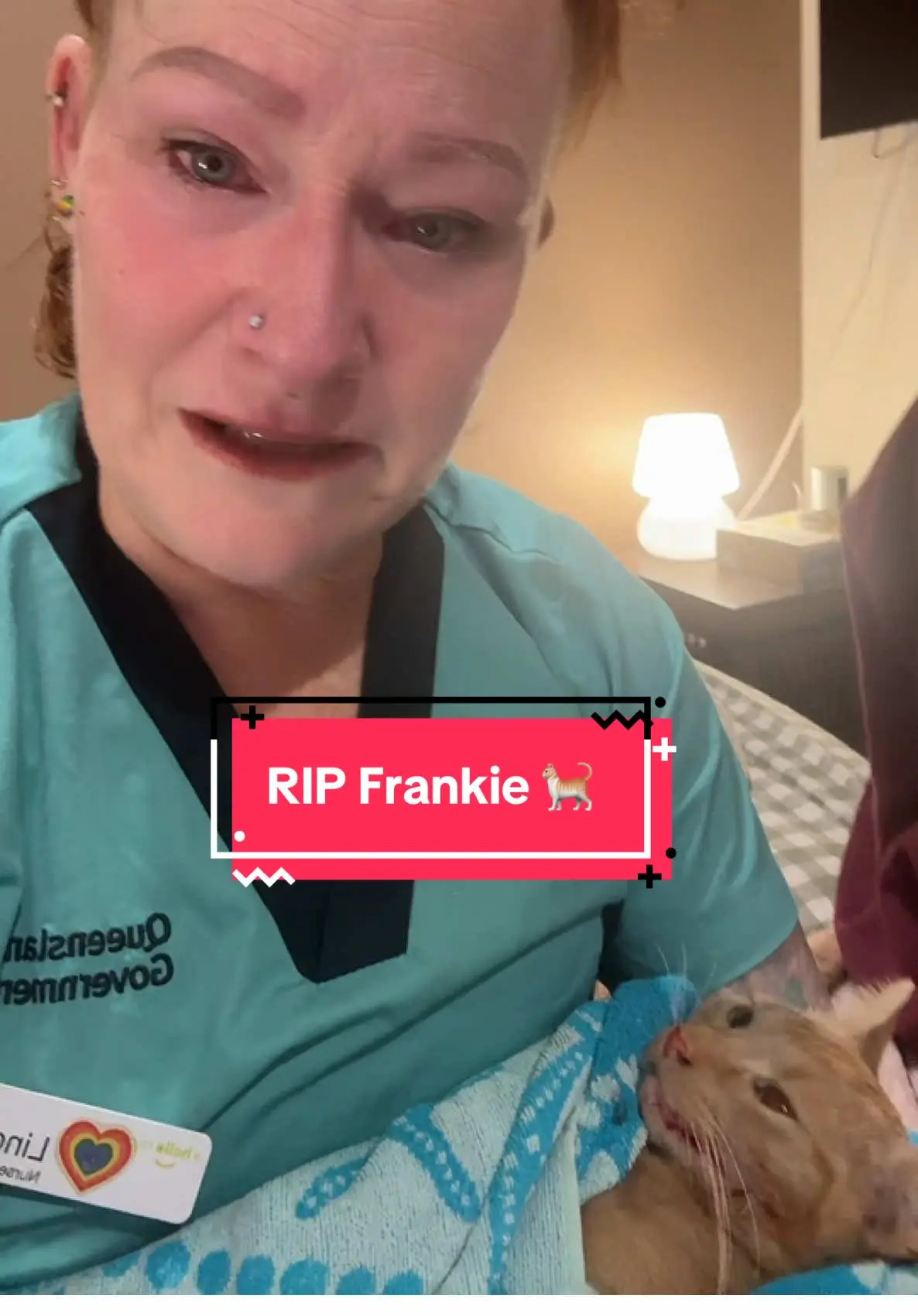 Tiktok post preview 3 from @lindyloo03