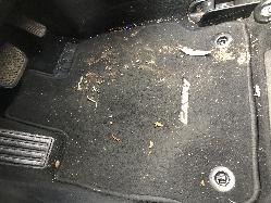 View TOYOTA CAMRY 2013 4 Door Sedan Breaking