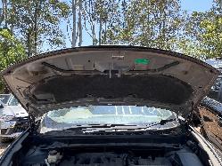 View Auto part Engine NISSAN MURANO 2010