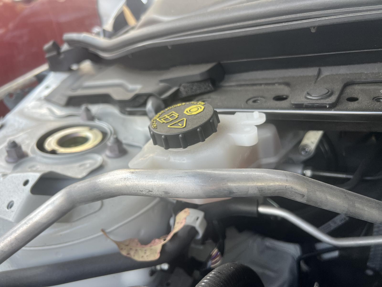 View Auto part Engine MAZDA 3 2022