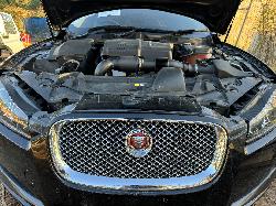 View JAGUAR XF 2015 4 Door Sedan Breaking