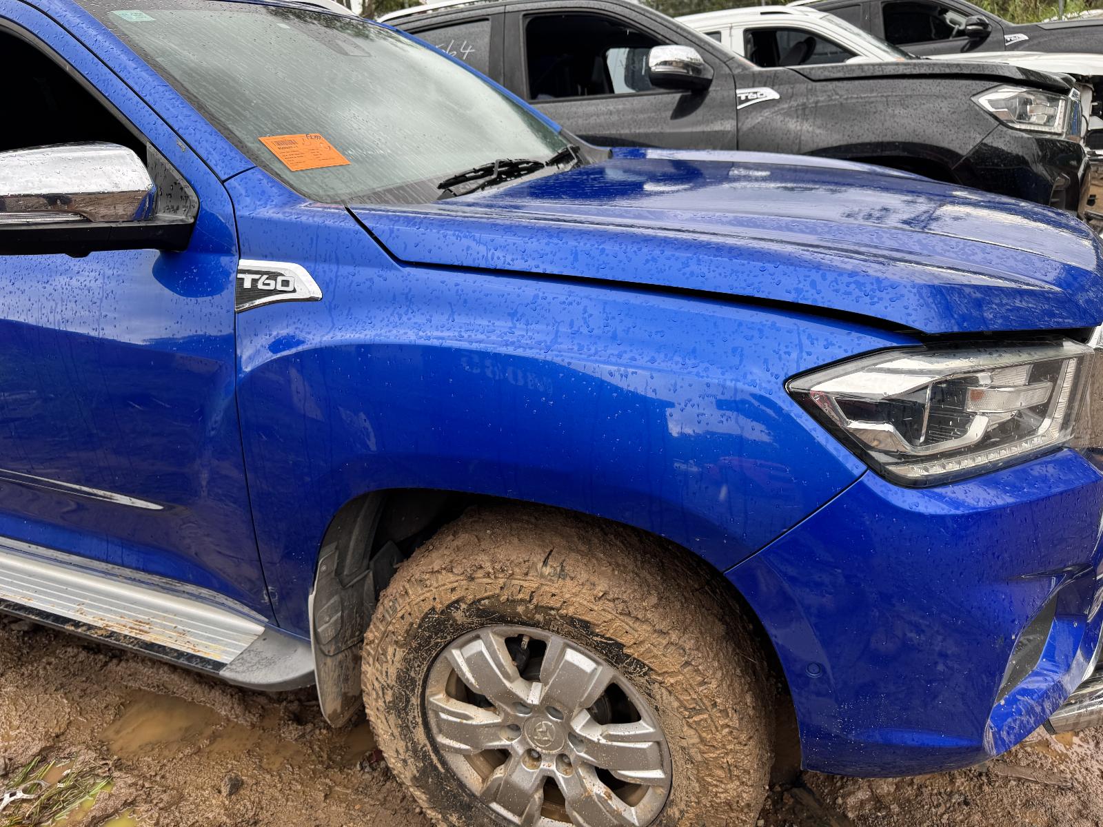 View LDV T60 2018 4 Door Utility Breaking