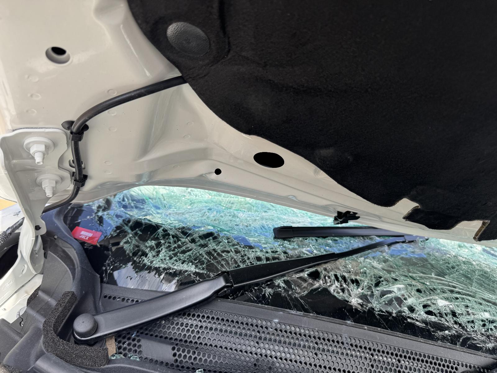 View FORD EVEREST 2024 5 Door Station Wagon Breaking