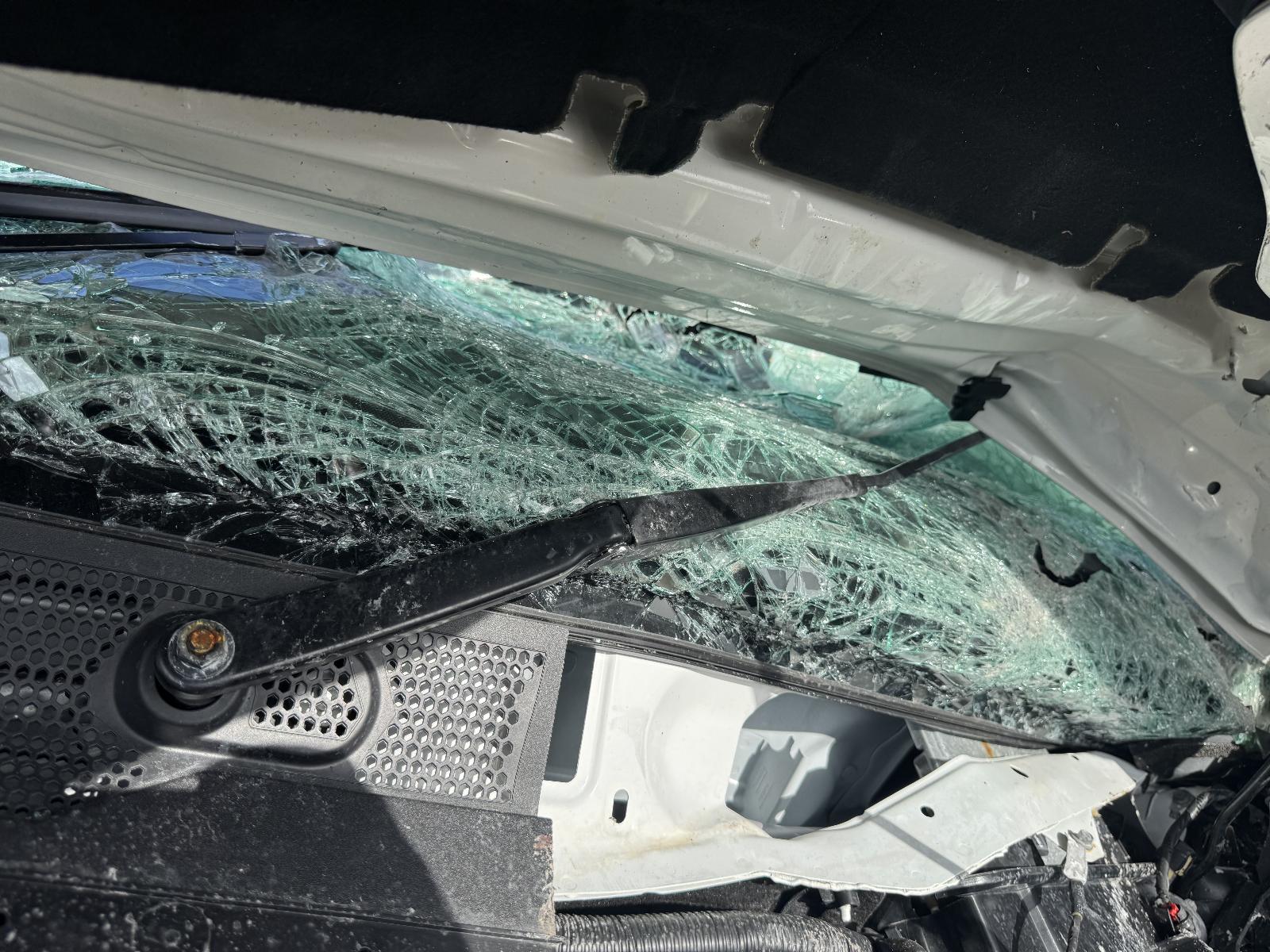 View FORD EVEREST 2024 5 Door Station Wagon Breaking