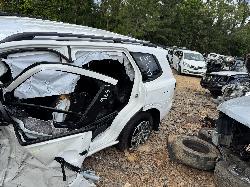 View FORD EVEREST 2024 5 Door Station Wagon Breaking