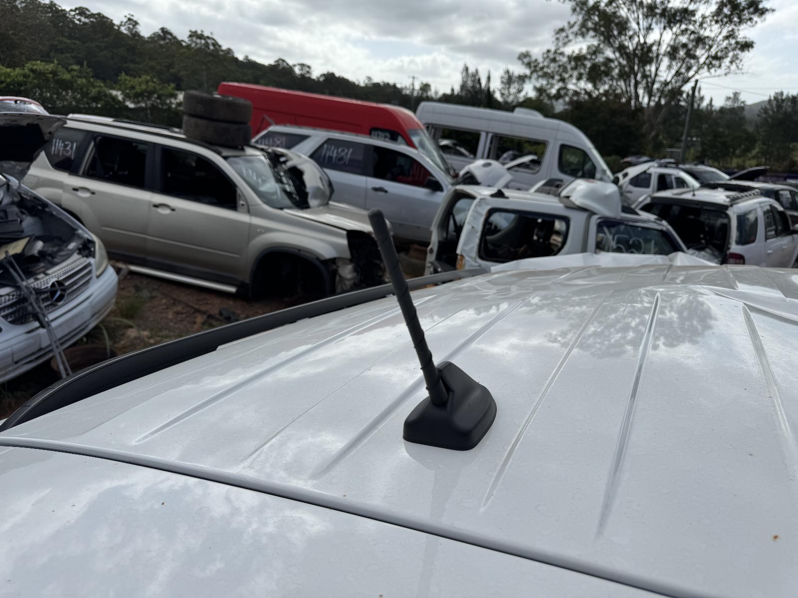 View FORD EVEREST 2024 5 Door Station Wagon Breaking