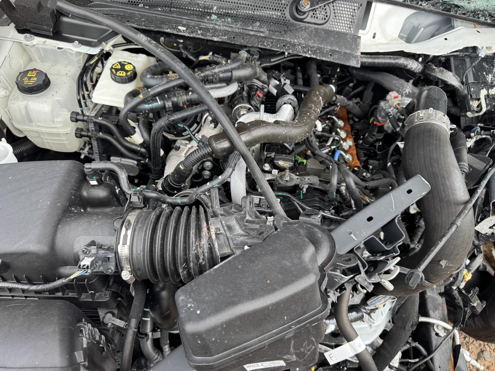 View FORD EVEREST 2024 5 Door Station Wagon Breaking
