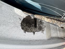 View LDV G10 2020 5 Door Van Breaking