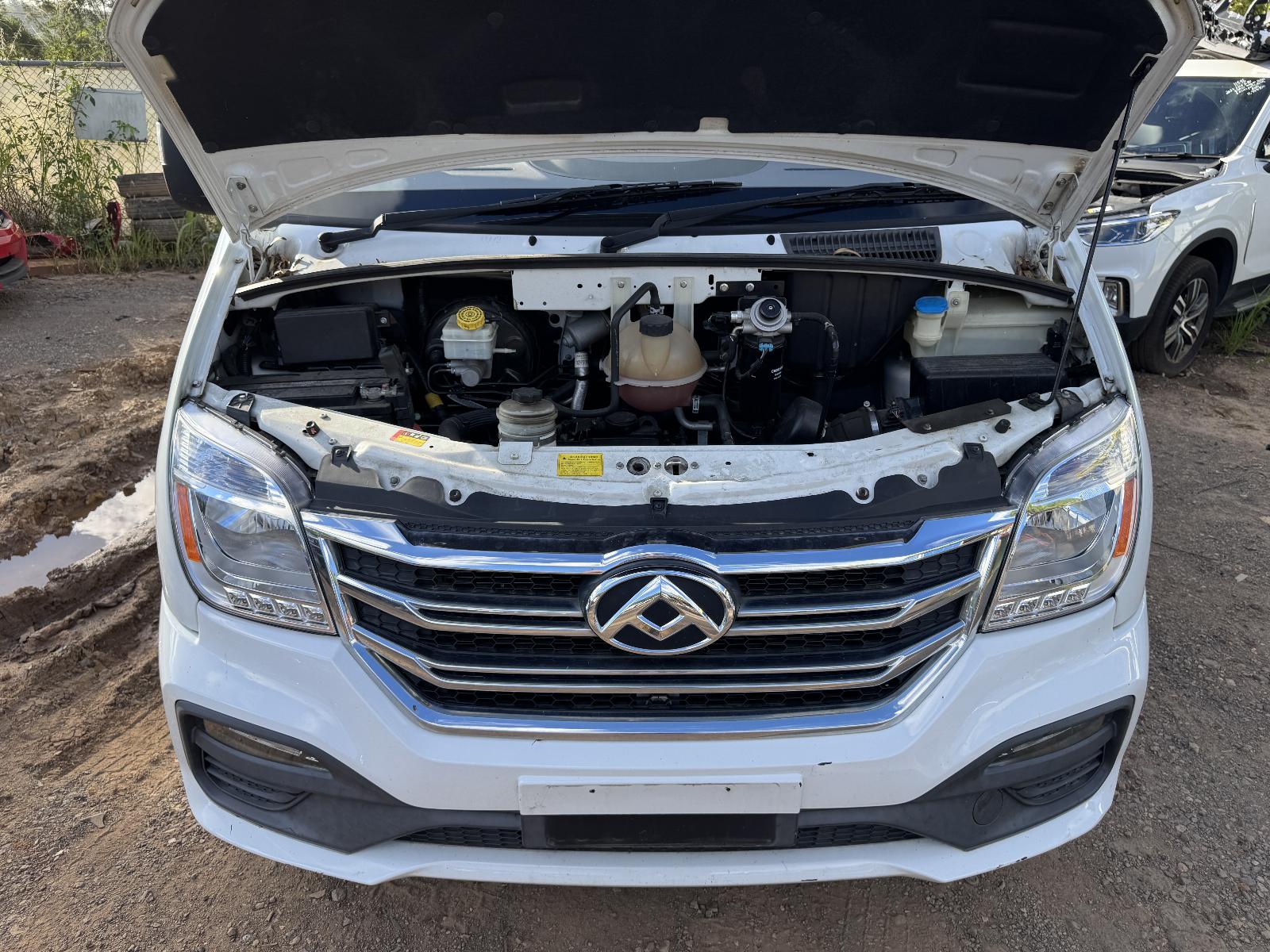 View Auto part Engine LDV V80 2021