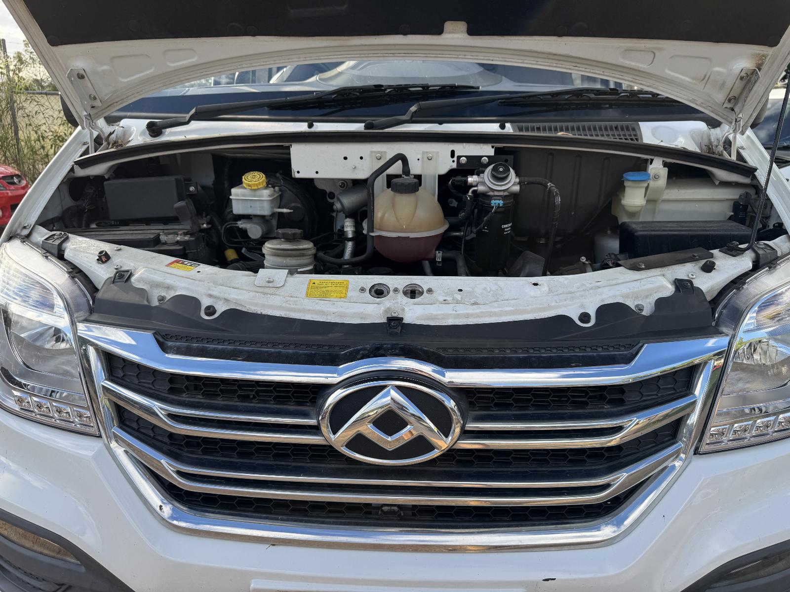View Auto part Engine LDV V80 2021