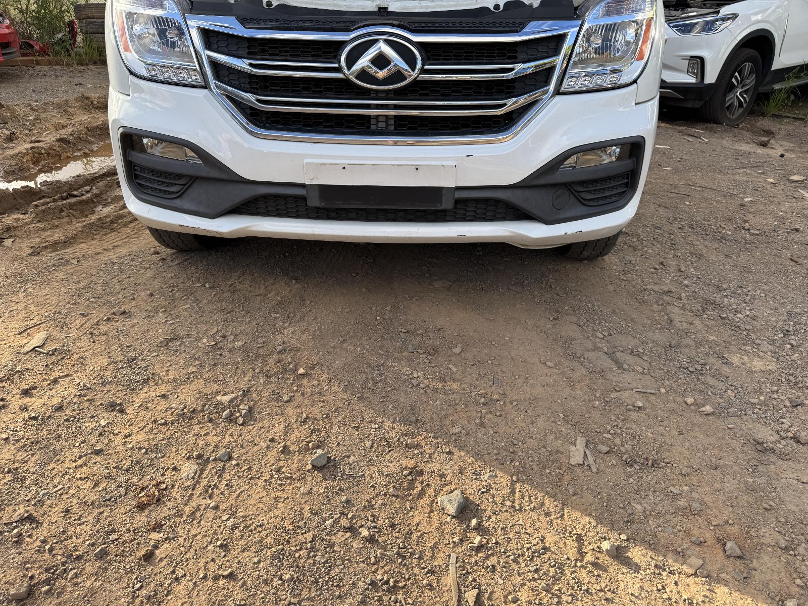 View Auto part Engine LDV V80 2021