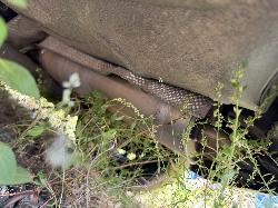 View FORD FIESTA 2011 5 Door Hatchback Breaking