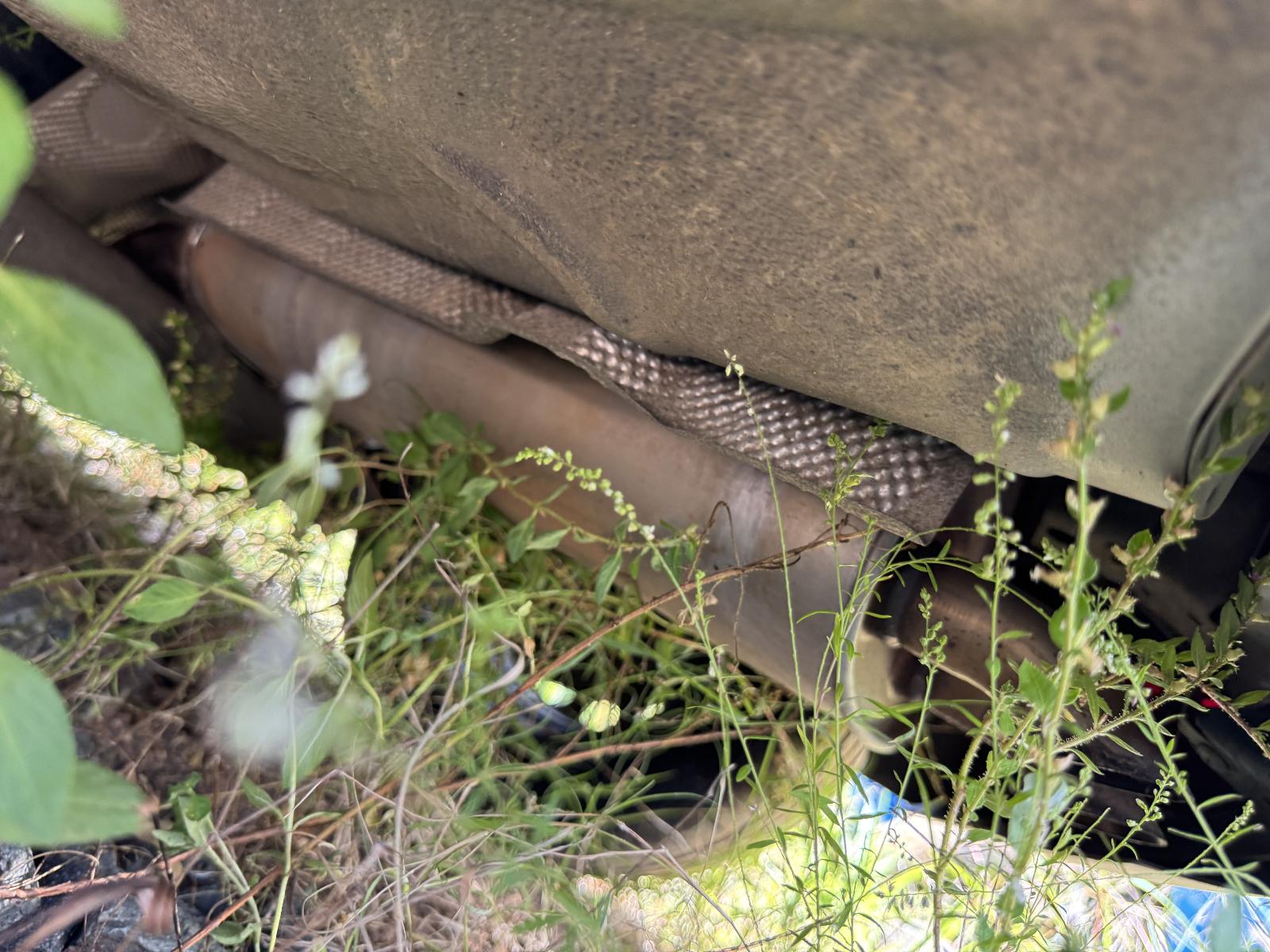 View FORD FIESTA 2011 5 Door Hatchback Breaking