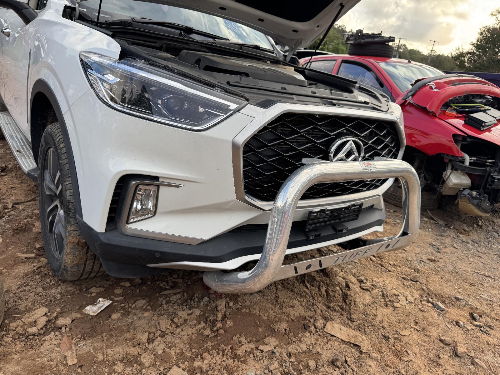 View Auto part Engine LDV D90 2022