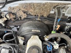 View FORD RANGER 2011 2 Door Utility Breaking