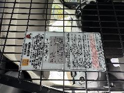View RENAULT KANGOO 2016 2 Door Van Breaking
